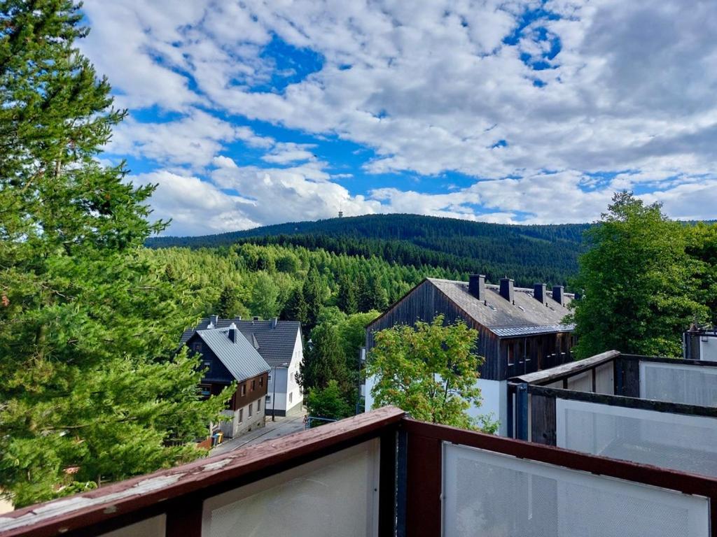 Zauberberg, Schneehase & Glitzerhirsch