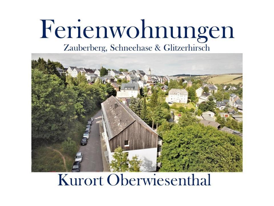 Zauberberg, Schneehase & Glitzerhirsch * Oberwiesenthal