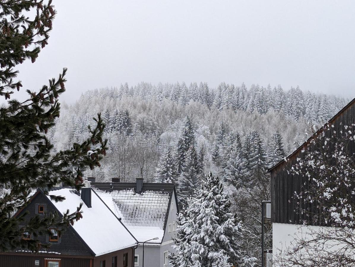 Zauberberg, Schneehase & Glitzerhirsch